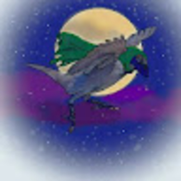 sparrowofchaos